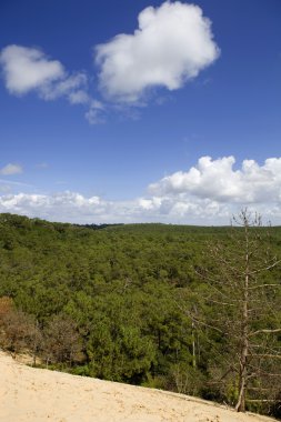 Pyla Kumulu