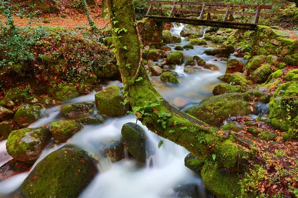 River waterfall — Stock Photo, Image