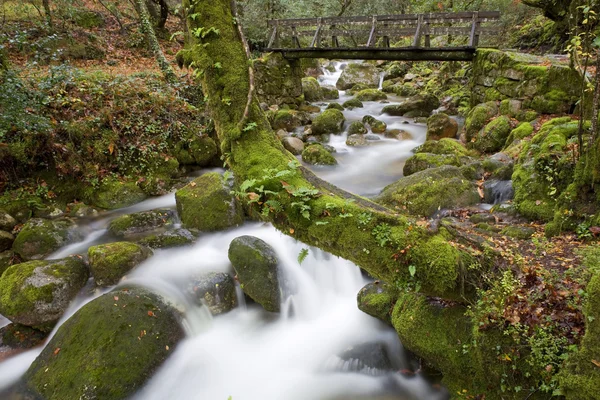 Autumn — Stock Photo, Image