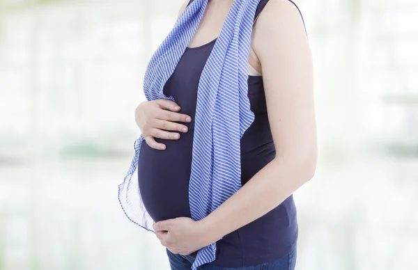 Incinta — Foto Stock