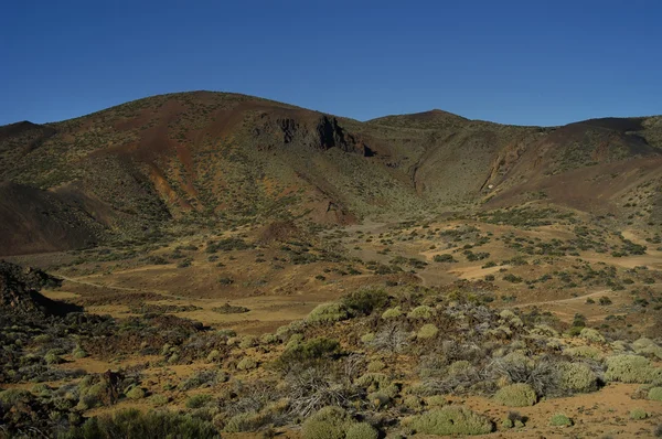 Tenerife — Stok fotoğraf