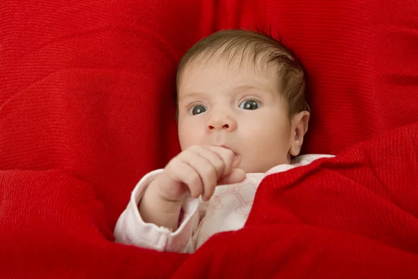 Young baby — Stock Photo, Image