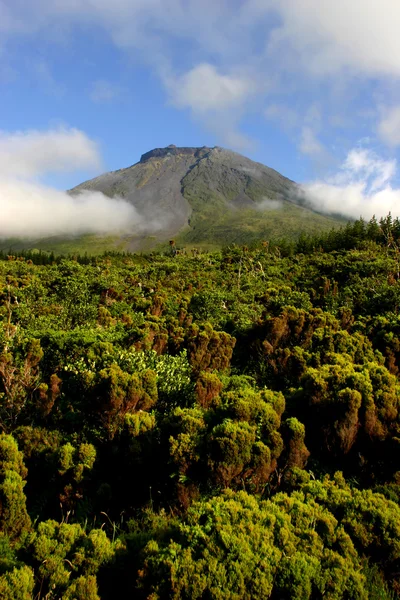 Mountain — Stock Photo, Image