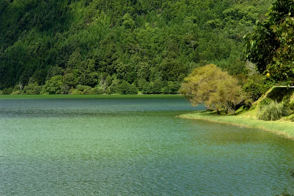 녹색 호수 — 스톡 사진