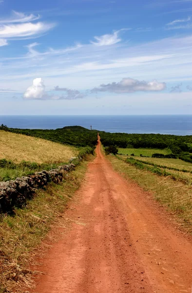 Camino rojo — Foto de Stock