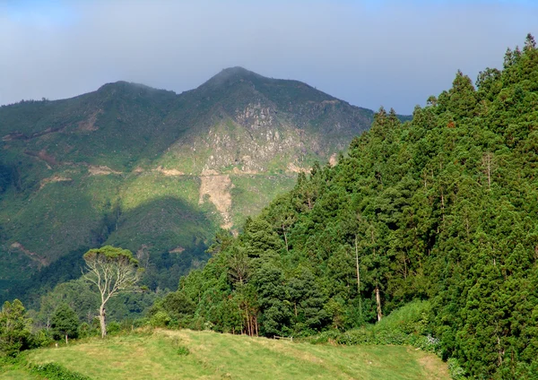 Azores montañas —  Fotos de Stock