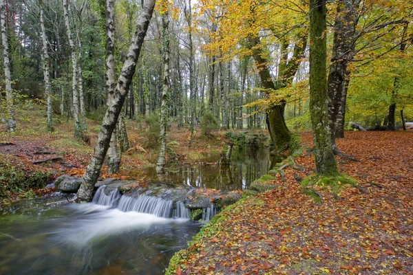 Říční vodopád — Stock fotografie