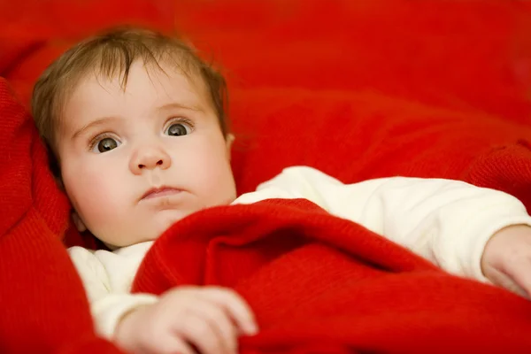 Young baby portrait — Stock Photo, Image