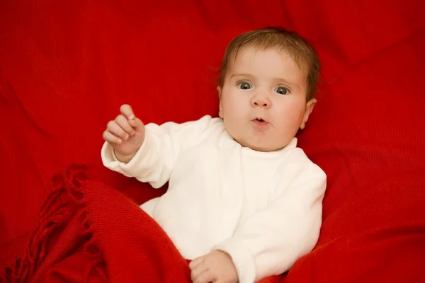 Retrato de bebê jovem — Fotografia de Stock