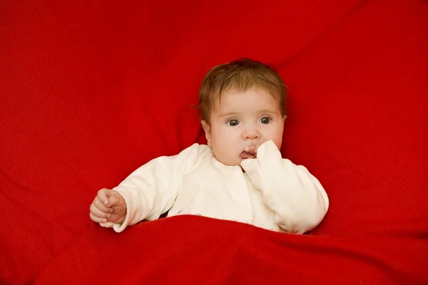 Young baby portrait — Stock Photo, Image