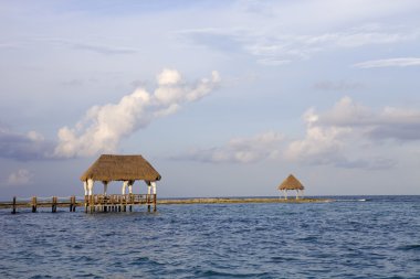 ahşap dock
