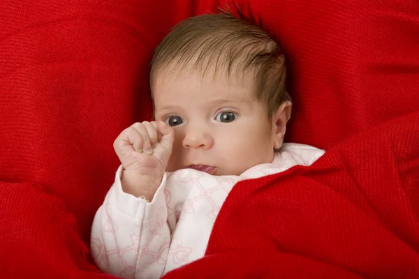 Ung baby — Stockfoto