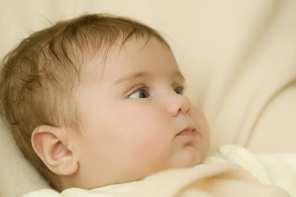 Retrato de bebé joven — Foto de Stock