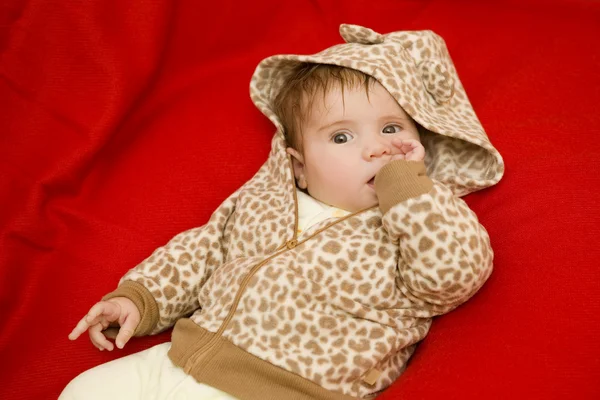 Young baby portrait — Stock Photo, Image