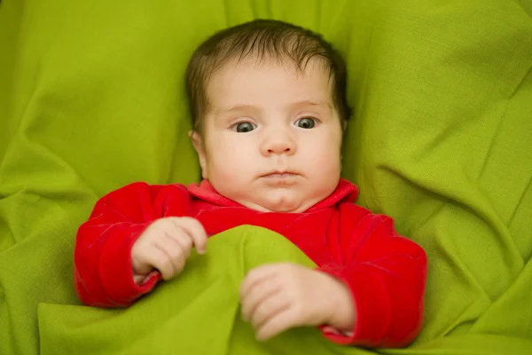 Bambino piccolo — Foto Stock