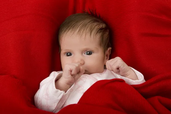 Ung baby — Stockfoto