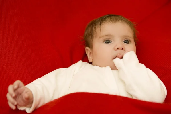 Retrato de bebê jovem — Fotografia de Stock