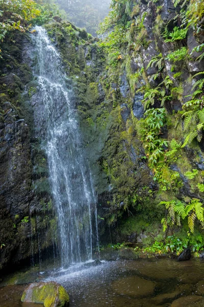 Flores adasındaki Azores şelaleleri ve uçurumları. Portekiz.