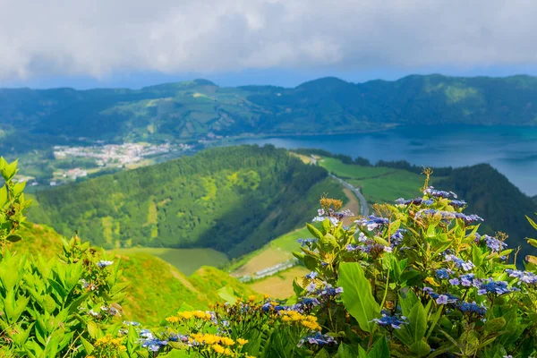 シダデス湖の山の中の野生の花 サンミゲル島 アゾレス諸島 ポルトガルの火山噴火口の湖 インフェルノからの眺め — ストック写真