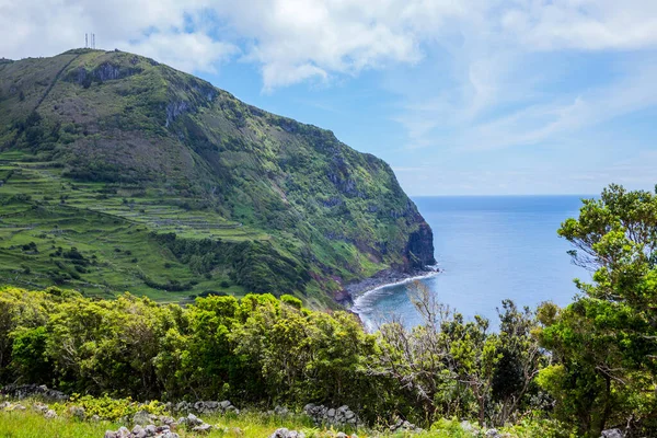 Linha Costeira Perto Ponta Delgada Ilha Das Flores Nos Açores — Fotografia de Stock