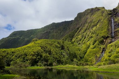 Poco da ribeira do ferreiro, Flores, Azores, Portekiz