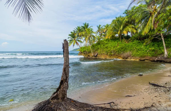 Praia Tropical Oceano Com Árvores Panamá — Fotografia de Stock