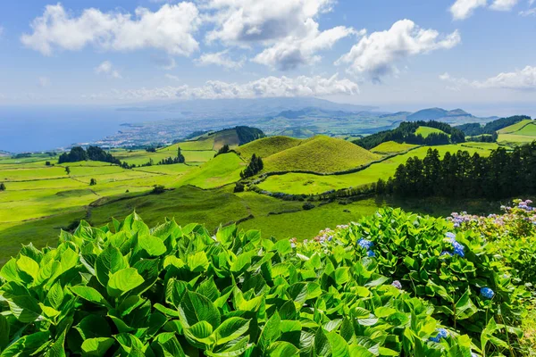 Piękne Krajobrazy Azorach Portugalia Tropikalna Przyroda Wyspie Sao Miguel Azory — Zdjęcie stockowe