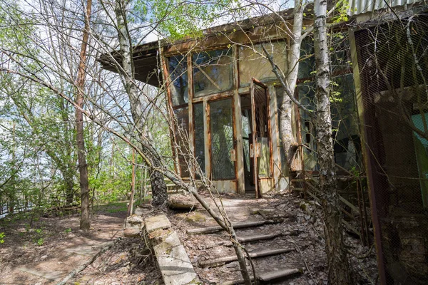 Çernobil Bölgesi Ukrayna Nın Pripyat Şehrinde Terk Edilmiş Evler Yasaklama — Stok fotoğraf