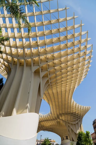 Seville Metropol Parasol Sevilla Mushrooms Las Setas Sevilla Plaza Encarnacion — стоковое фото