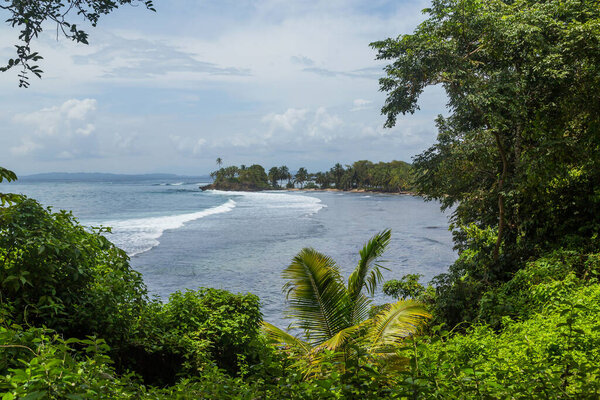 Tropical ocean beach with trees in Panama