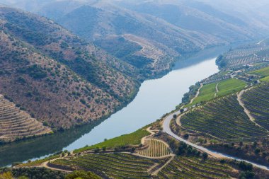 Nehir Douro Coa Nehri'nin ağzında yanında. Vila Nova de Foz Coa Belediyesi. Douro bölge.