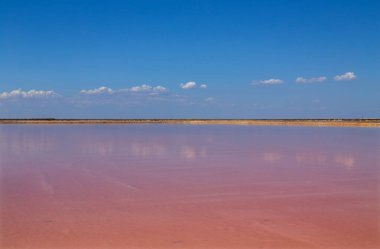 Salinas de Bonanza, Sanlucar de Barrameda, Cadiz 'de. İspanya, Endülüs 'te amblem bölgesi