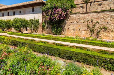 Granada, İspanya: Ünlü çeşmesi ve bahçesiyle The Generalife avlusunun genel manzarası. Alhambra de Granada kompleksi