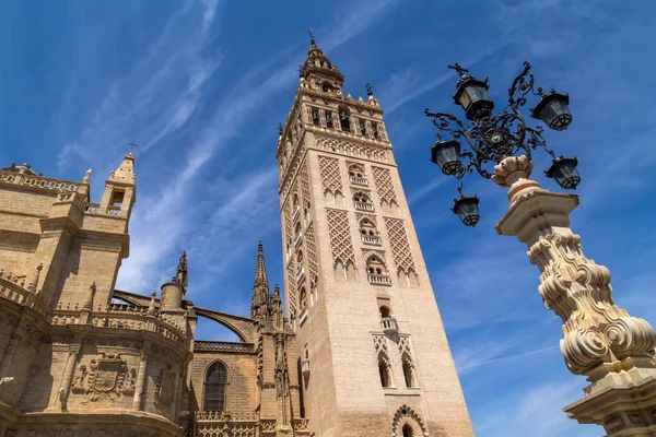 Cathédrale Séville Est Une Des Attractions Touristiques Séville Andalousie Espagne — Photo