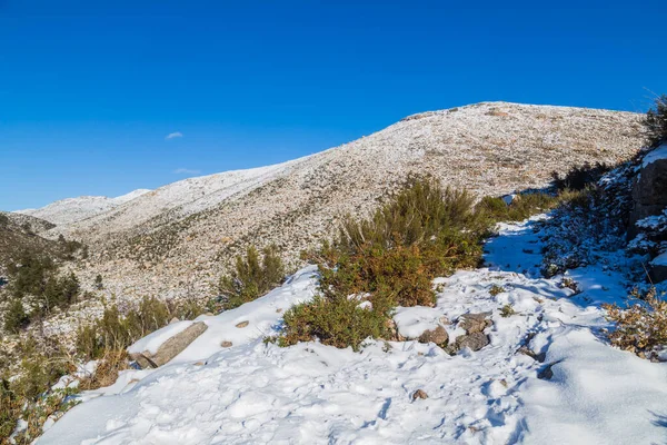 Paisaje Invernal Con Nieve Las Montañas Del Parque Natural Serra — Foto de Stock