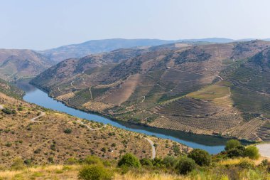 Nehir Douro Coa Nehri'nin ağzında yanında. Vila Nova de Foz Coa Belediyesi. Douro bölge.