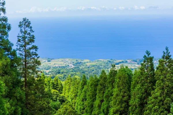 Beaux Paysages Aux Açores Portugal Nature Tropicale Dans Île Sao — Photo