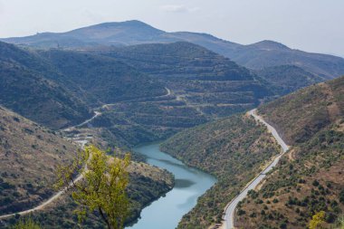 Nehir Douro Coa Nehri'nin ağzında yanında. Vila Nova de Foz Coa Belediyesi. Douro bölge.