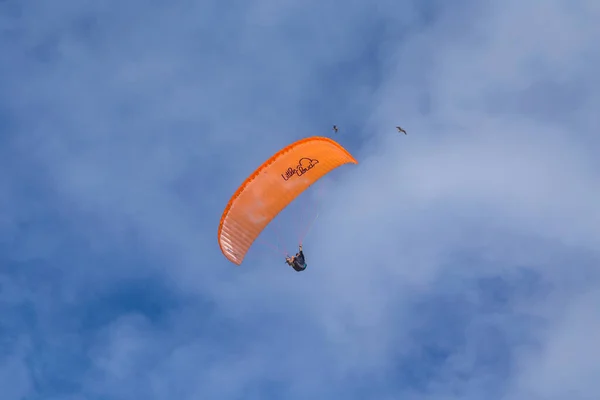 Albufeira Portugal Een Paraglider Piloot Vliegt Bij Kust Van Albufeira — Stockfoto