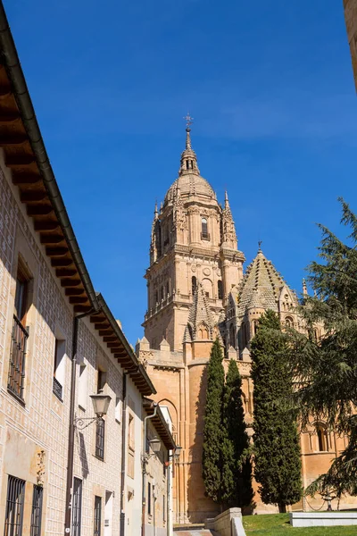 Spanya Nın Tarihi Salamanca Katedrali Manzarası — Stok fotoğraf