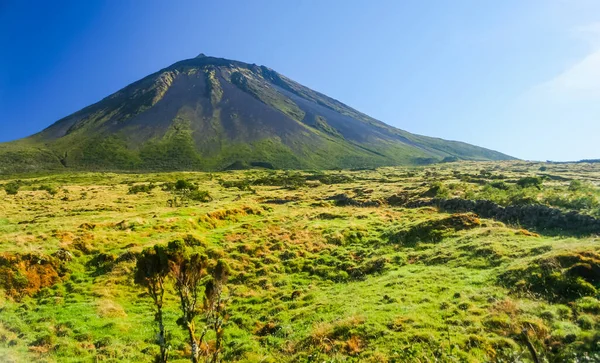 Montaña Pico Isla Pico Azores —  Fotos de Stock