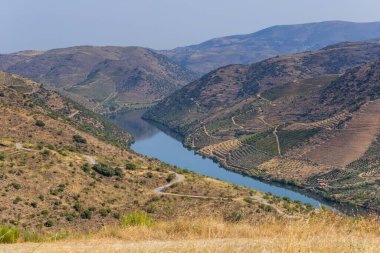 Nehir Douro Coa Nehri'nin ağzında yanında. Vila Nova de Foz Coa Belediyesi. Douro bölge.