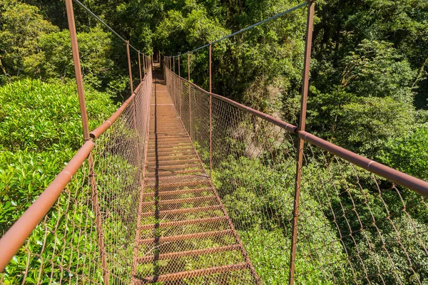 Starý Visutý Most Džungli Panamy — Stock fotografie