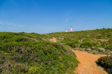 Uçurumun tepesindeki deniz feneri ve Portekiz 'in Cape Espichel kentindeki bitki örtüsüyle çevrili.