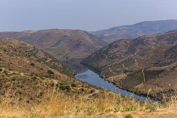 Řeka Douro Ústí Řeky Coa Vila Nova Foz Coa Obec — Stock fotografie