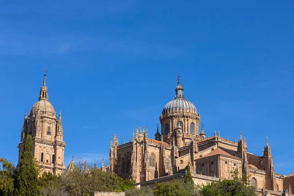 Utsikt Över Kupolen Den Historiska Katedralen Salamanca Spanien — Stockfoto