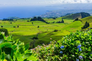 Azores Portekiz 'in güzel manzaraları. Sao Miguel Adası, Azores 'te tropikal doğa.