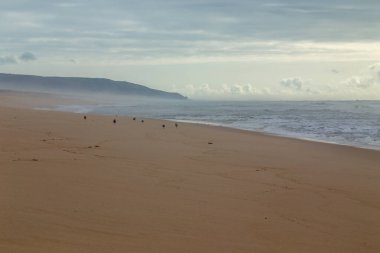 Figueira da Foz, Portekiz yakınlarındaki güzel boş sahil.