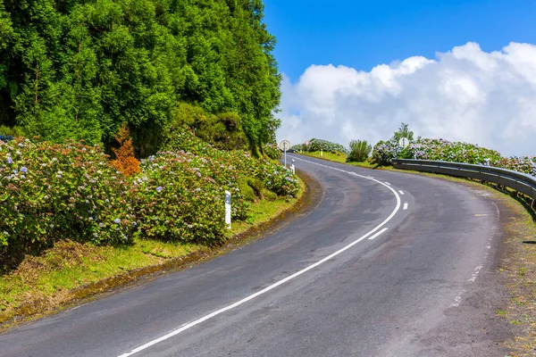 Road Surrounded Green Vegetation Sao Miguel Island Azores Portugal — Stock Photo, Image