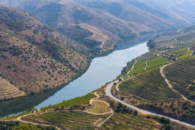Nehir Douro Coa Nehri'nin ağzında yanında. Vila Nova de Foz Coa Belediyesi. Douro bölge.